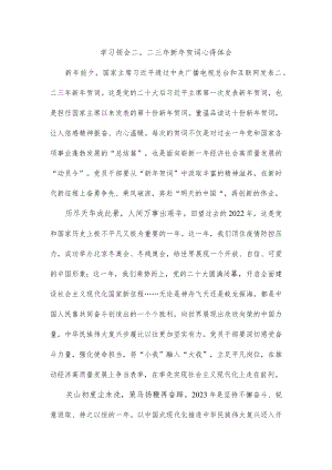 学习领会二〇二三年新年贺词心得体会.docx