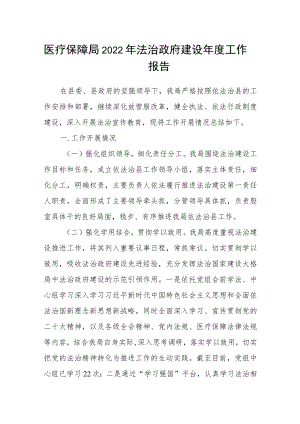医疗保障局2022年法治政府建设年度工作报告.docx