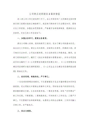 公司转正述职报告2篇供借鉴.docx