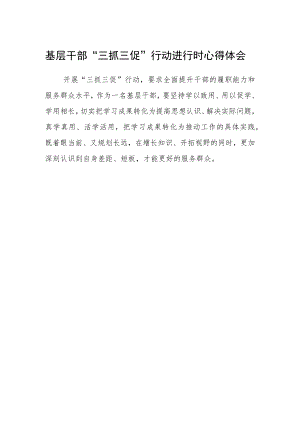 基层干部“三抓三促”行动进行时心得体会.docx