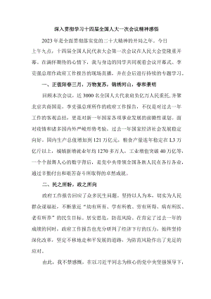 大学生深入贯彻学习十四届全国人大一次会议心得体会感悟 精编2份.docx