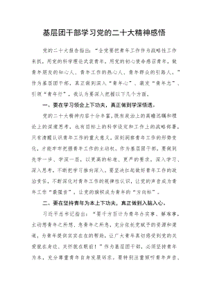 基层团干部学习党的二十大精神感悟.docx