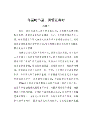 冬至时节至田管正当时.docx