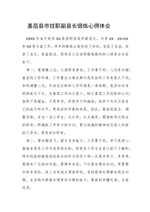 基层县市挂职副县长锻炼心得体会.docx