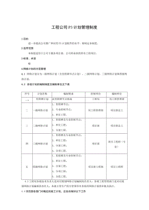工程公司P3计划管理制度.docx