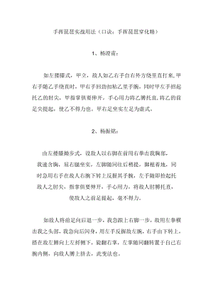 手挥琵琶实战用法.docx