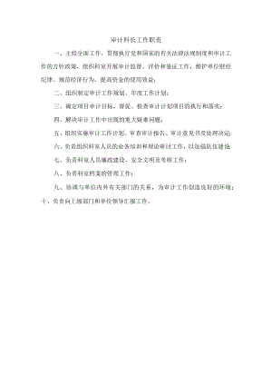 审计科长工作职责.docx