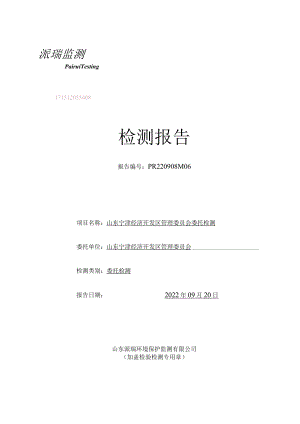 山东宁津经济开发区德州富源新能源监测报告.docx