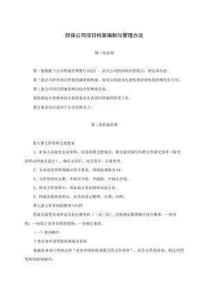 担保公司项目档案编制与管理办法.docx