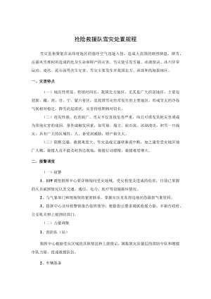 抢险救援队雪灾处置规程.docx