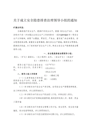 安全隐患排查领导小组.docx