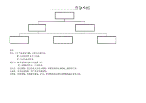 应急预案领导小组、组织机构.docx