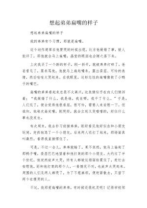 想起弟弟扁嘴的样子.docx