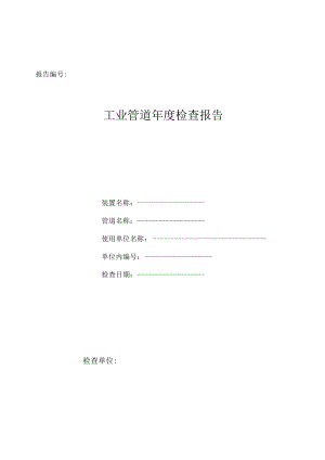 工业管道年度检查报告.docx