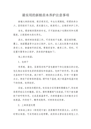 最实用的新植苗木养护注意事项.docx