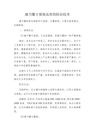 康乃馨主要病虫害的防治技术.docx