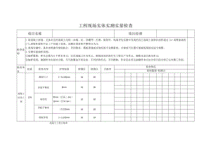 工程现场实体实测实量检查.docx