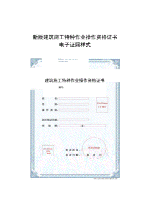 新版建筑施工特种作业操作资格证书电子证照样式 新版电子证照与旧版电子证照工种类别代码对照表.docx