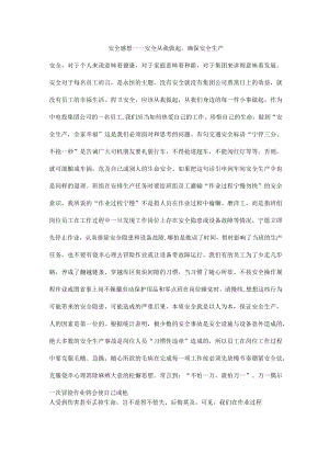 安全感想——安全从我做起确保安全生产.docx