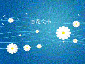 意愿文书课件.ppt