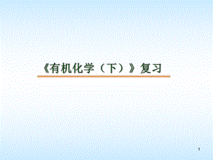 有机化学(下)复习.ppt