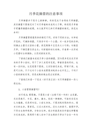 月季花摘蕾的注意事项.docx