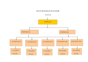 护理组织管理体系结构图.docx
