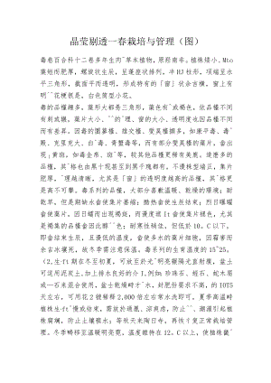 晶瑩剔透—壽栽培与管理.docx