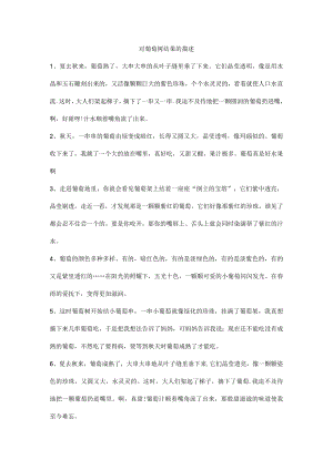 对葡萄树结果的描述.docx