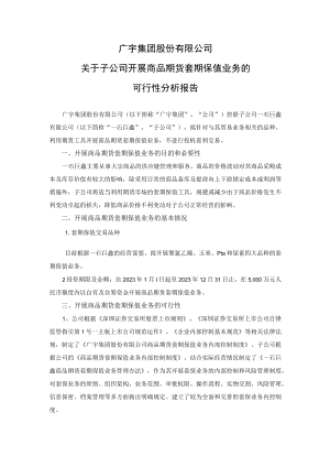 广宇集团：广宇集团股份有限公司关于子公司开展商品期货套期保值业务的可行性分析报告.docx