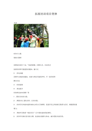 拓展培训项目背摔.docx