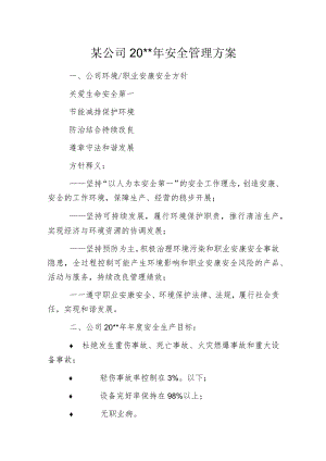 某公司20--年安全管理方案.docx