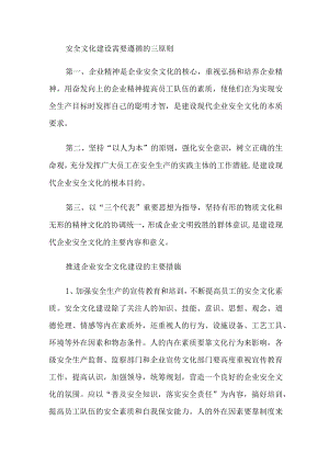 某集团安全文化建设的原则和措施.docx