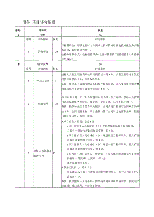 项目评分细则.docx