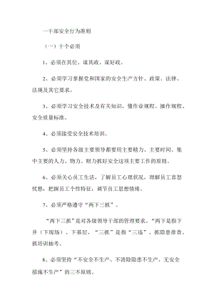 某煤炭企业安全行为准则.docx