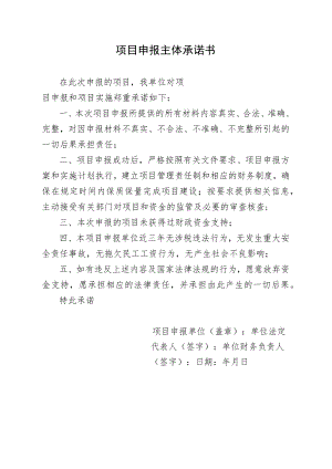 项目申报主体承诺书.docx