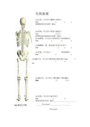体位评估额状观.docx