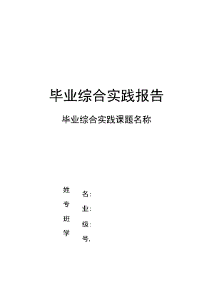 毕业综合实践训练报告模板.docx