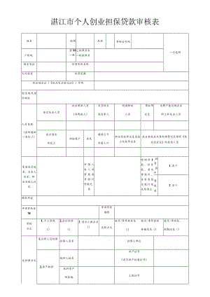 湛江市个人创业担保贷款审核表.docx