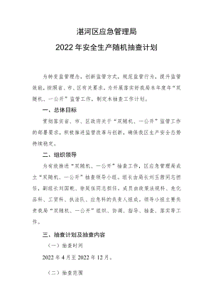 湛河区应急管理局2022年安全生产随机抽查计划.docx