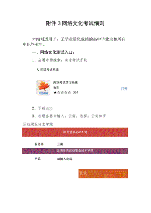 网络文化考试细则.docx