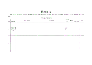 河道电缆电线乱摆放整治报告.docx