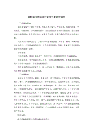 栾树病虫害防治方案及主要养护措施.docx