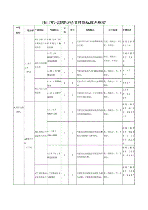 项目支出绩效评价共性指标体系框架.docx