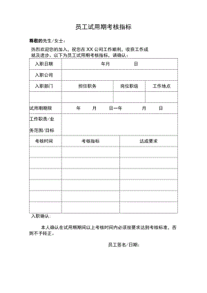 试用期考核指标.docx