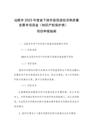 汕尾市2023年度省下放市县促进经济高质量发展专项资金知识产权保护类项目申报指南.docx