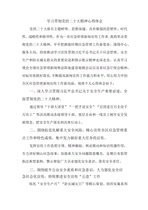 应急管理局基层个人学习贯彻党的二十大精神心得体会三篇.docx