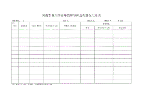 河南农业大学青年教师导师选配情况汇总表.docx