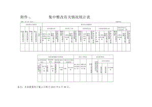 集中整改有关情况统计表.docx