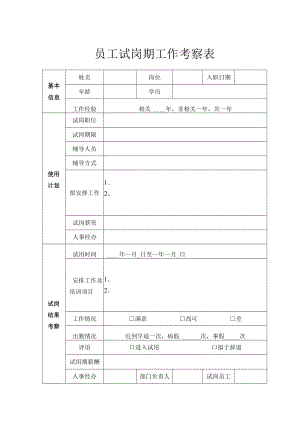 试岗期工作考察表.docx